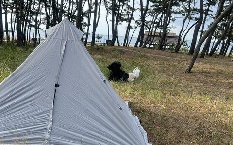 大会バスで行くマラソン遠征！荷物は最小限・楽しみは最大限