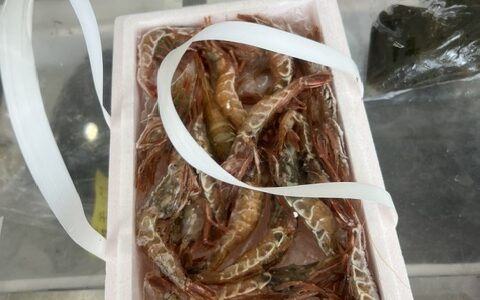 参加賞のガラエビで1週間楽しむ！3段活用レシピ