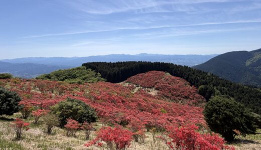 100kmはへっちゃらなのに、20kmトレイルで5日たっても筋肉痛