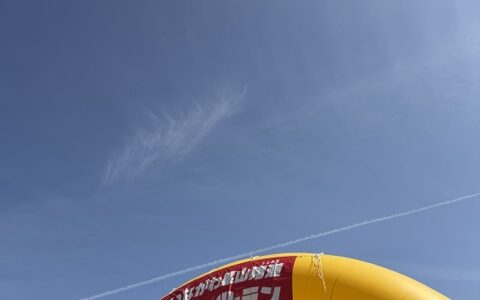 【2026.5.24】いながわ里山猪道トレイルラン｜第10回記念大会レポート