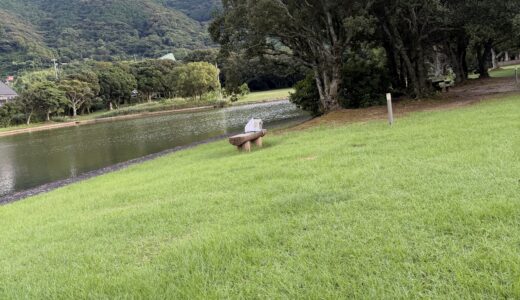 愛南マラニック前泊後泊｜有給取りやめかけたけど、やっぱり行くと決めた話