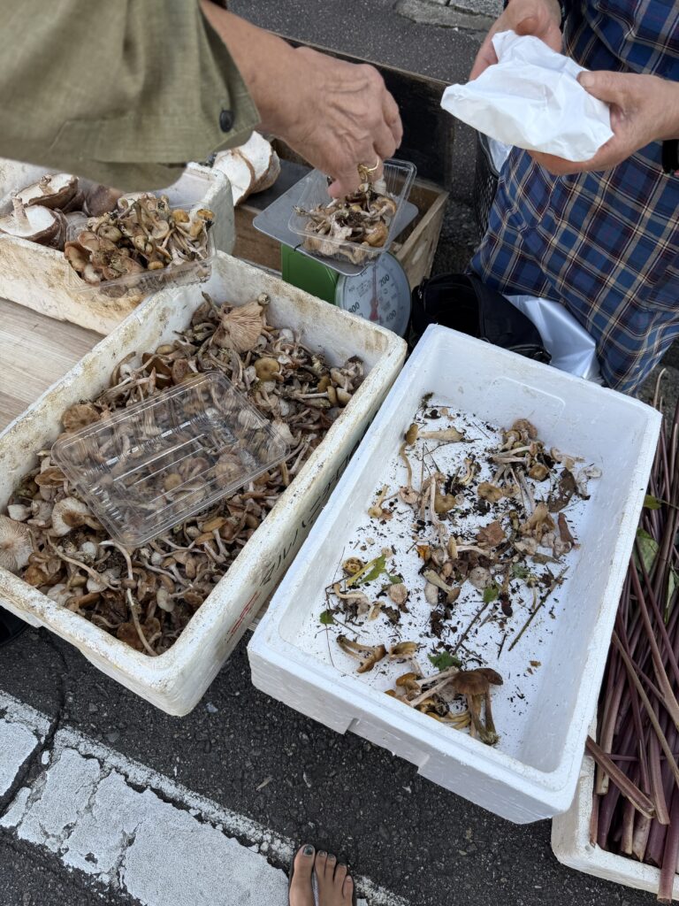 三・八の市のならたけ