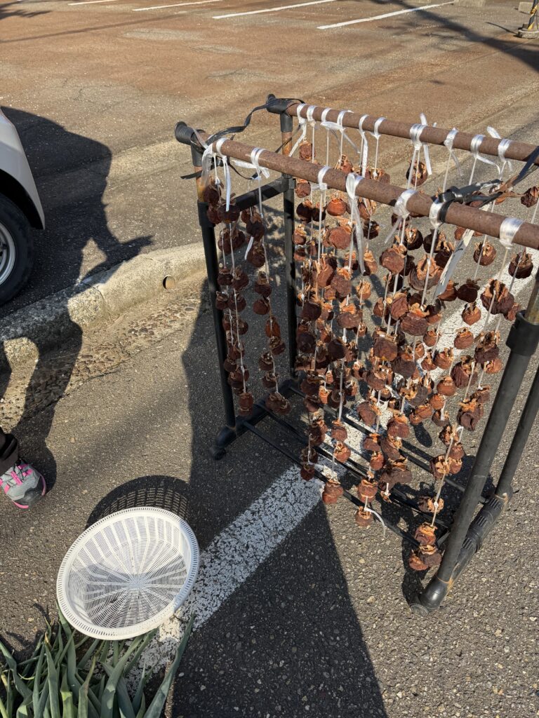 吊るし柿