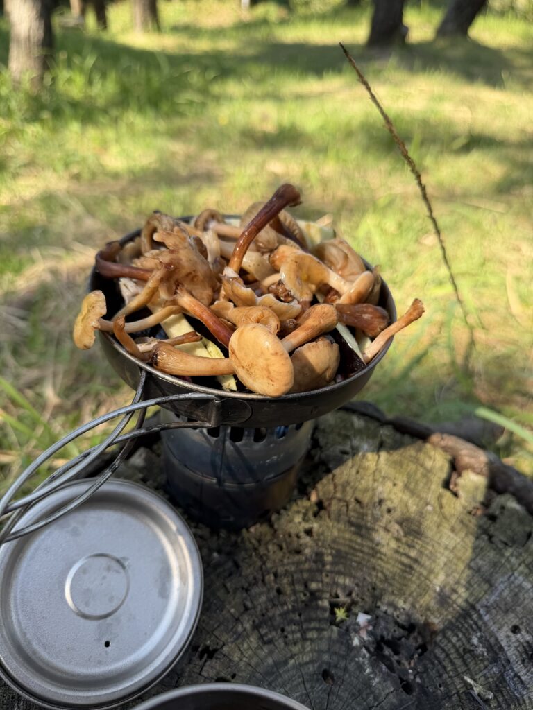 ならたけとナスの炒め物