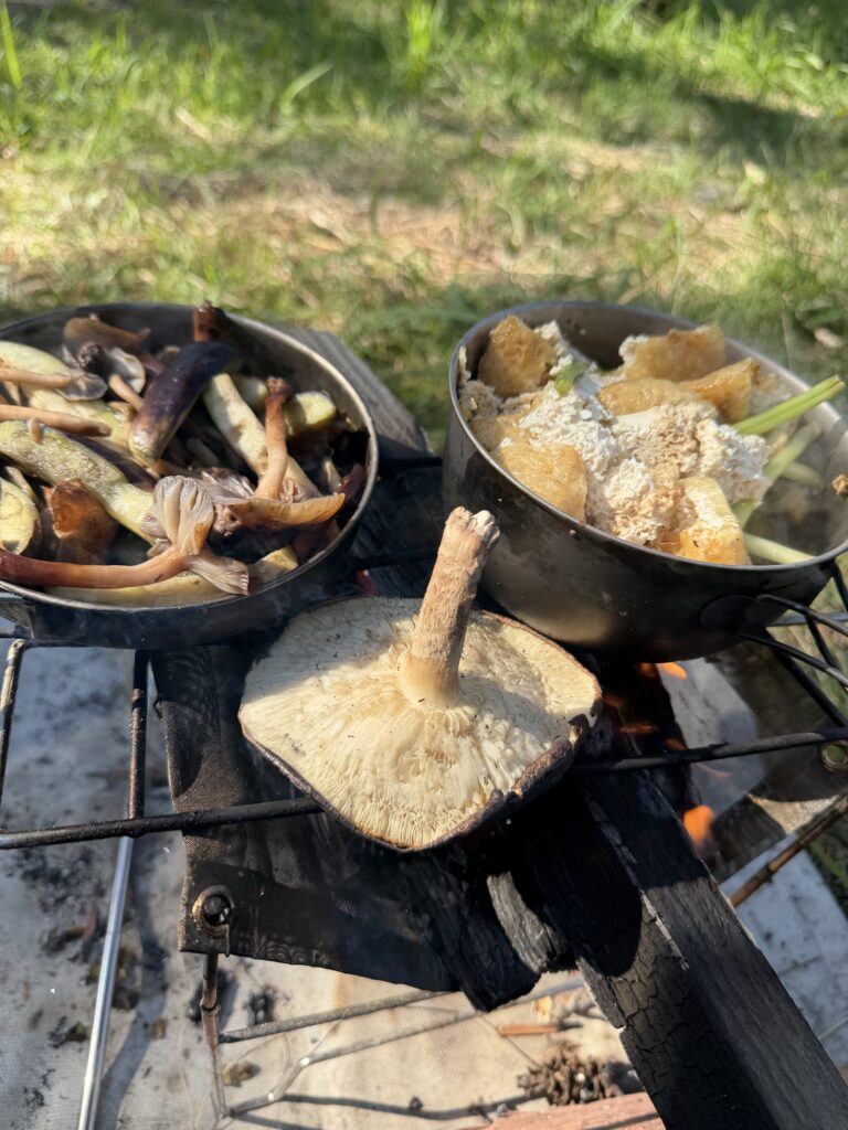 ならたけの炒め物と焼きしいたけ