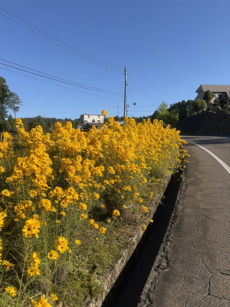 くびき野100kmのエイドの様子