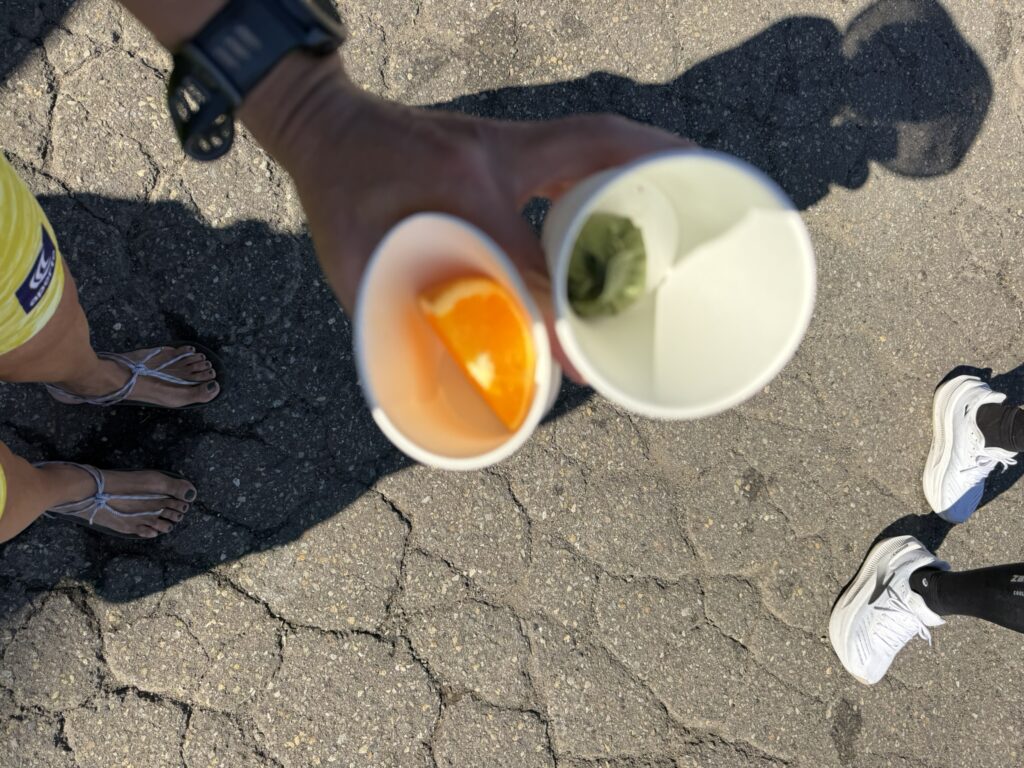 19 62.4km オレンジもいただく