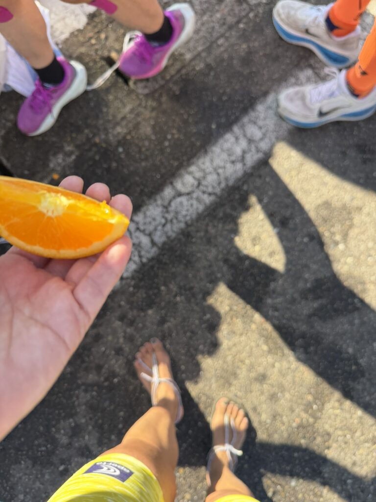 23 73.9km 上下浜会館 オレンジもいただく